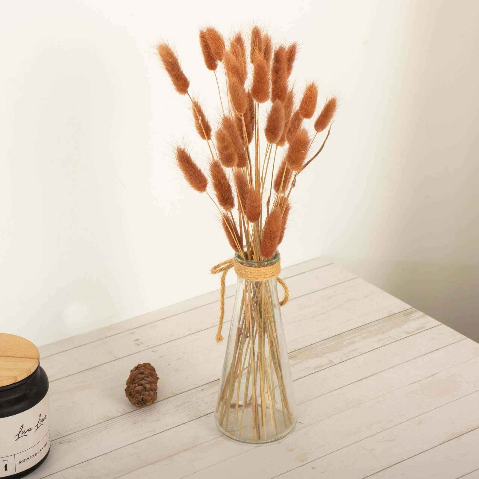 50-Pack Dried Bunny Tail Grass Brown - Rustic Chic Lagurus Ovatus Rabbit Tail Ornamental Grass for Modern Farmhouse Decor Event Styling & Floral Displays 15"