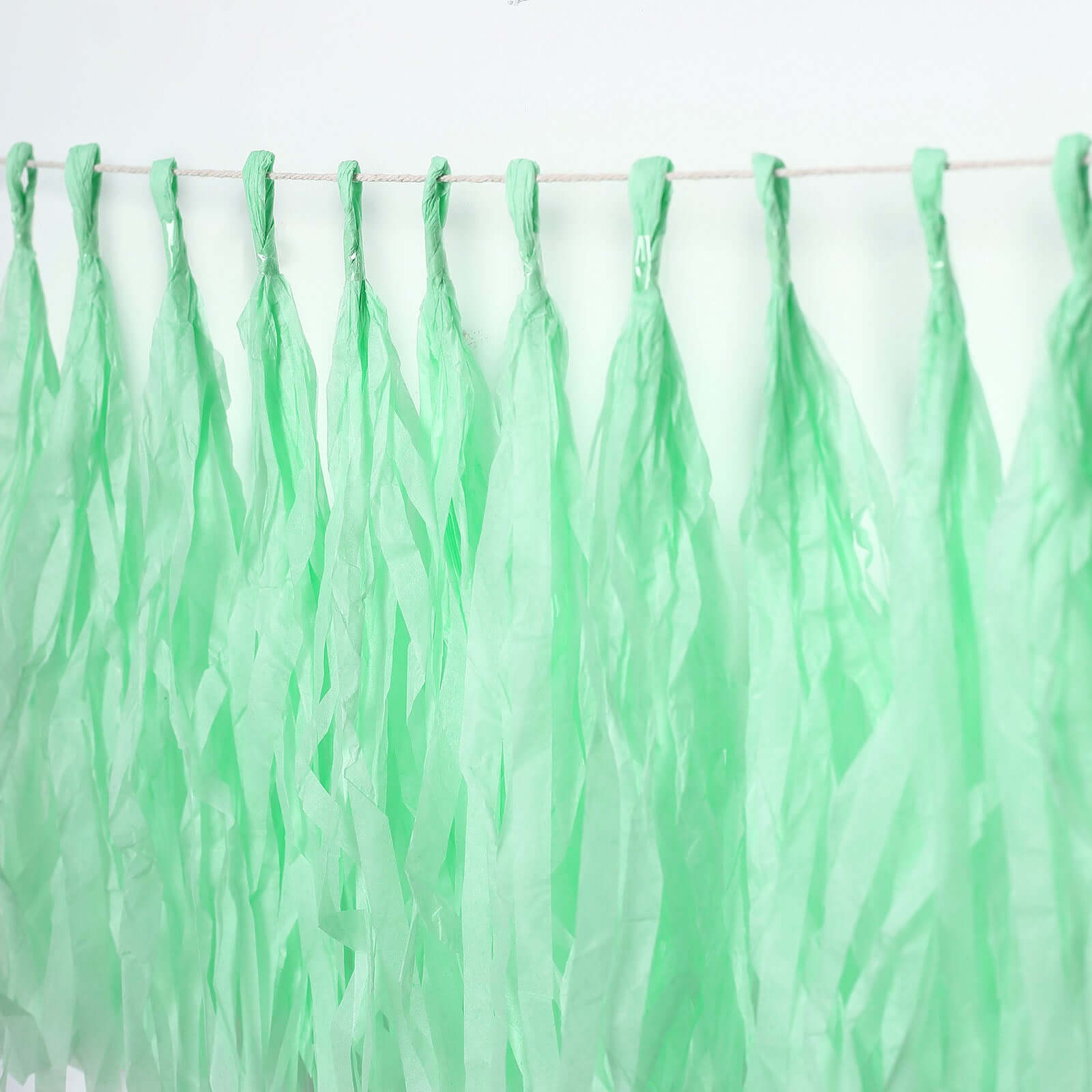 12 Pack Pre-Tied Mint Tissue Paper Tassel Garland With String, Hanging Fringe Party Streamer Backdrop Decor