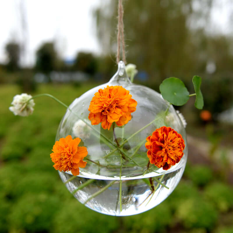 4-Pack Glass Terrarium Hanging Globe Design Free-Falling - Modern Planter for Air Plants & Displays 4"