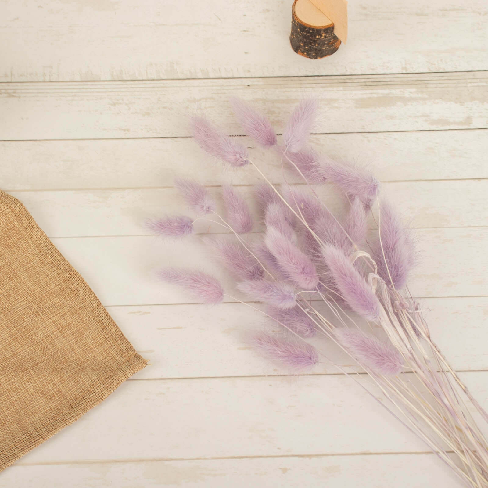 50-Pack Dried Bunny Tail Grass Lavender Lilac - Rustic Chic Lagurus Ovatus Rabbit Tail Ornamental Grass for Modern Farmhouse Decor Event Styling & Floral Displays 15"