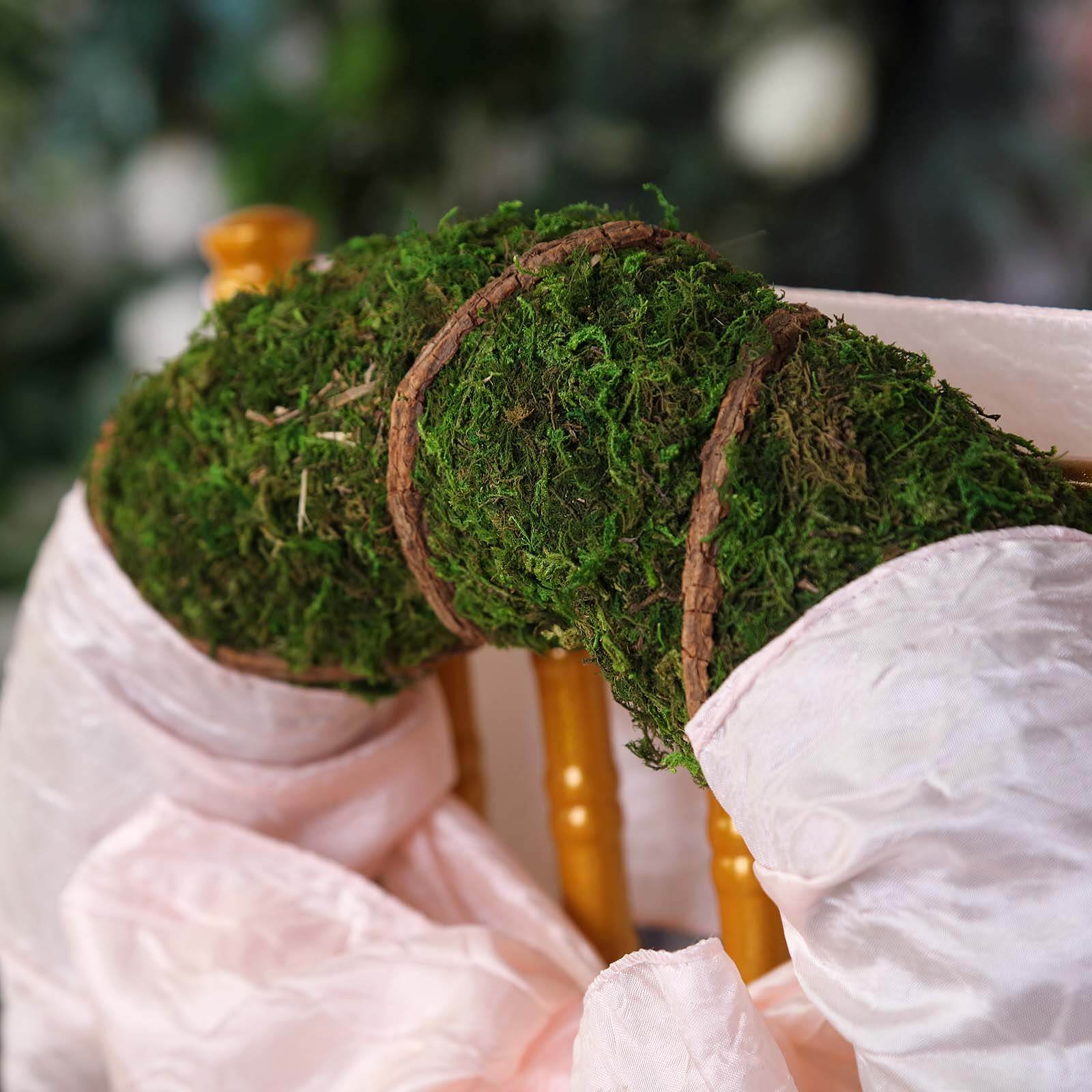 2 Pack 14" Green Natural Preserved Moss Wreaths With Twine Twig Wrap
