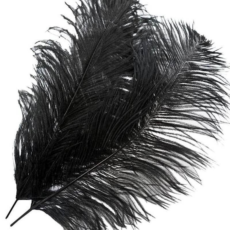 12 Pack 13"-15" Black Natural Plume Real Ostrich Feathers, DIY Centerpiece Fillers