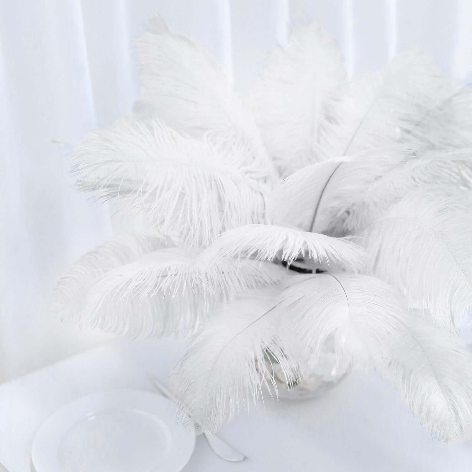 12 Pack 13"-15" White Natural Plume Real Ostrich Feathers, DIY Centerpiece Fillers
