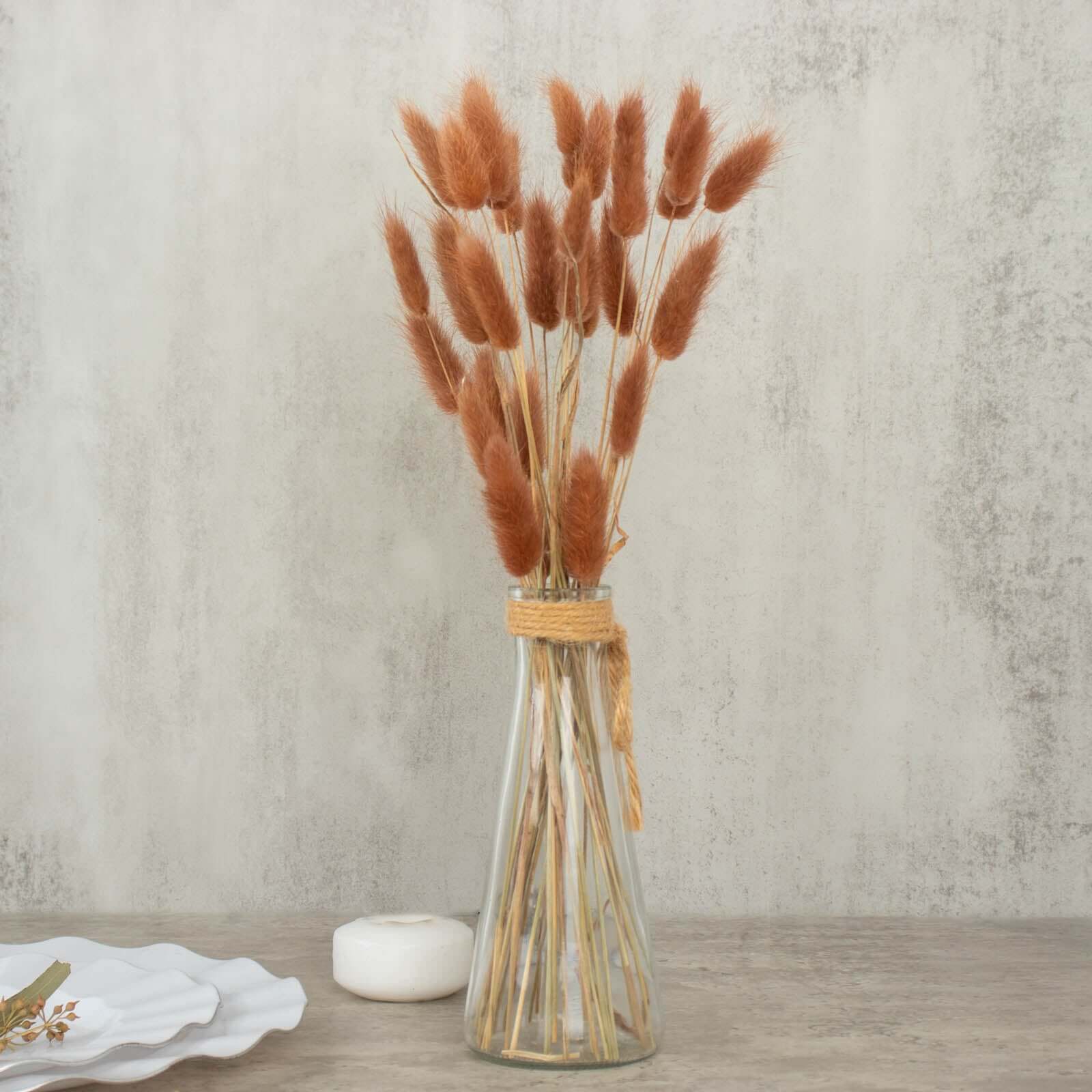 50-Pack Dried Bunny Tail Grass Brown - Rustic Chic Lagurus Ovatus Rabbit Tail Ornamental Grass for Modern Farmhouse Decor Event Styling & Floral Displays 15"