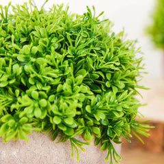 2 Plant Set Artificial Boxwood Topiary Ball 5" - Maintenance Free Mini Faux Potted Greenery Decor