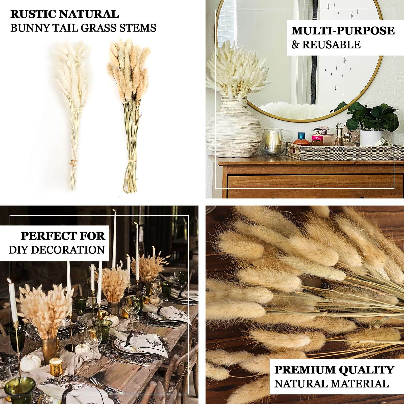 50-Pack Dried Bunny Tail Grass Natural White - Rustic Chic Lagurus Ovatus Rabbit Tail Ornamental Grass for Modern Farmhouse Decor Event Styling & Floral Displays 15"