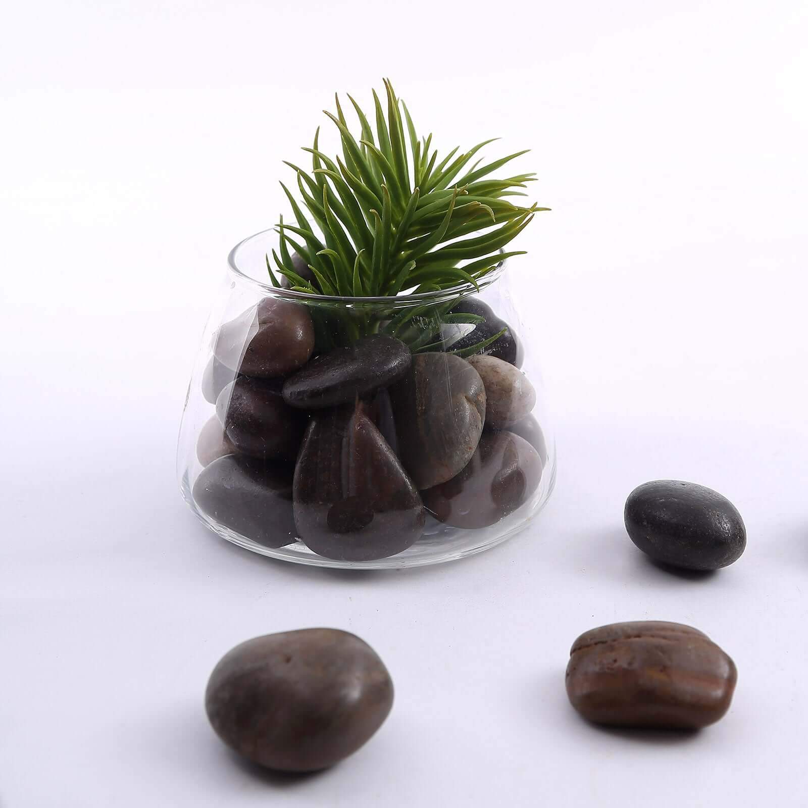 Polished Decorative Stones Natural Assorted Design - Ideal Vase Fillers, Landscaping, and Aquarium Use 2Lb