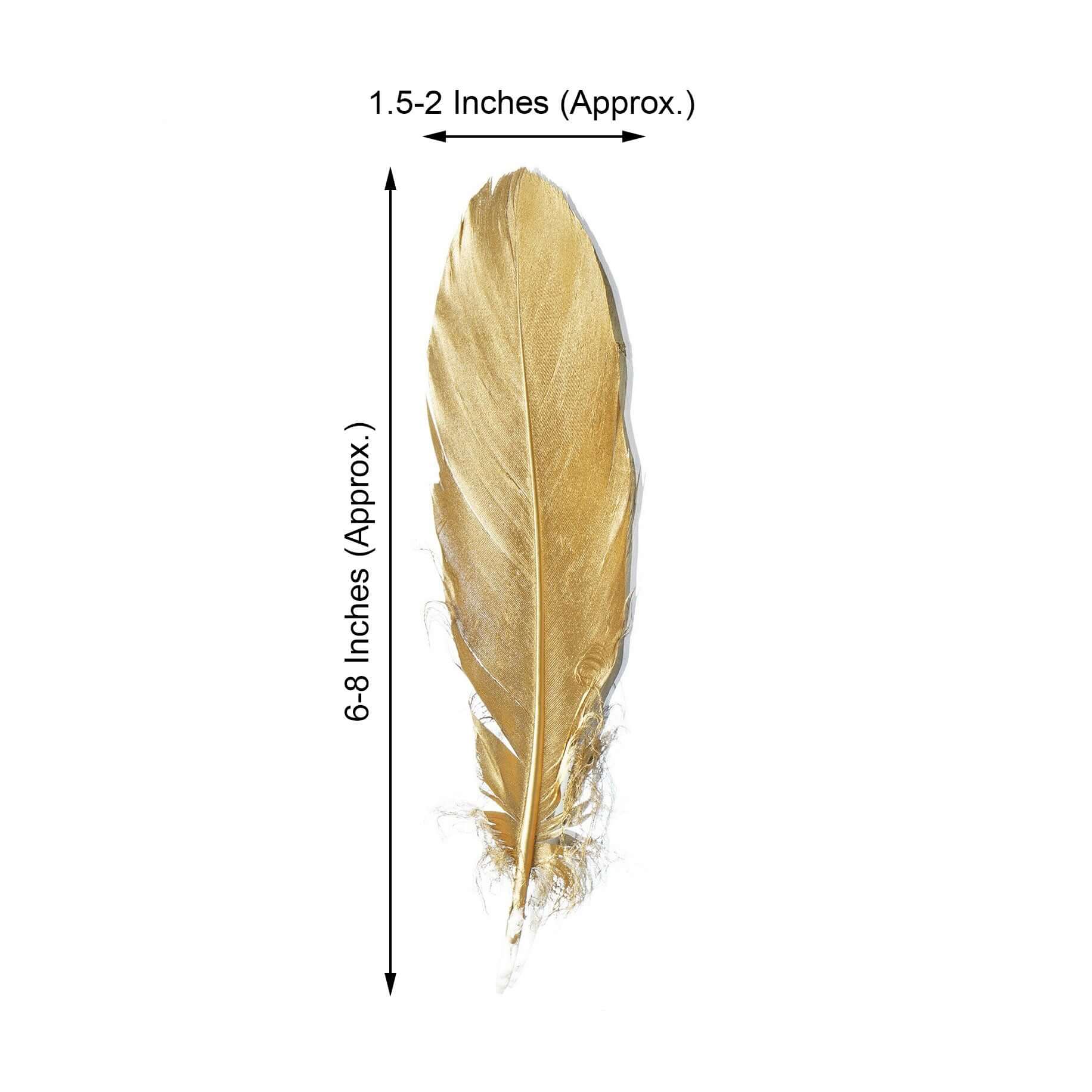 30-Pack Goose Feathers Craft Feathers Metallic Gold - Decorative Feathers for DIY Party Styling