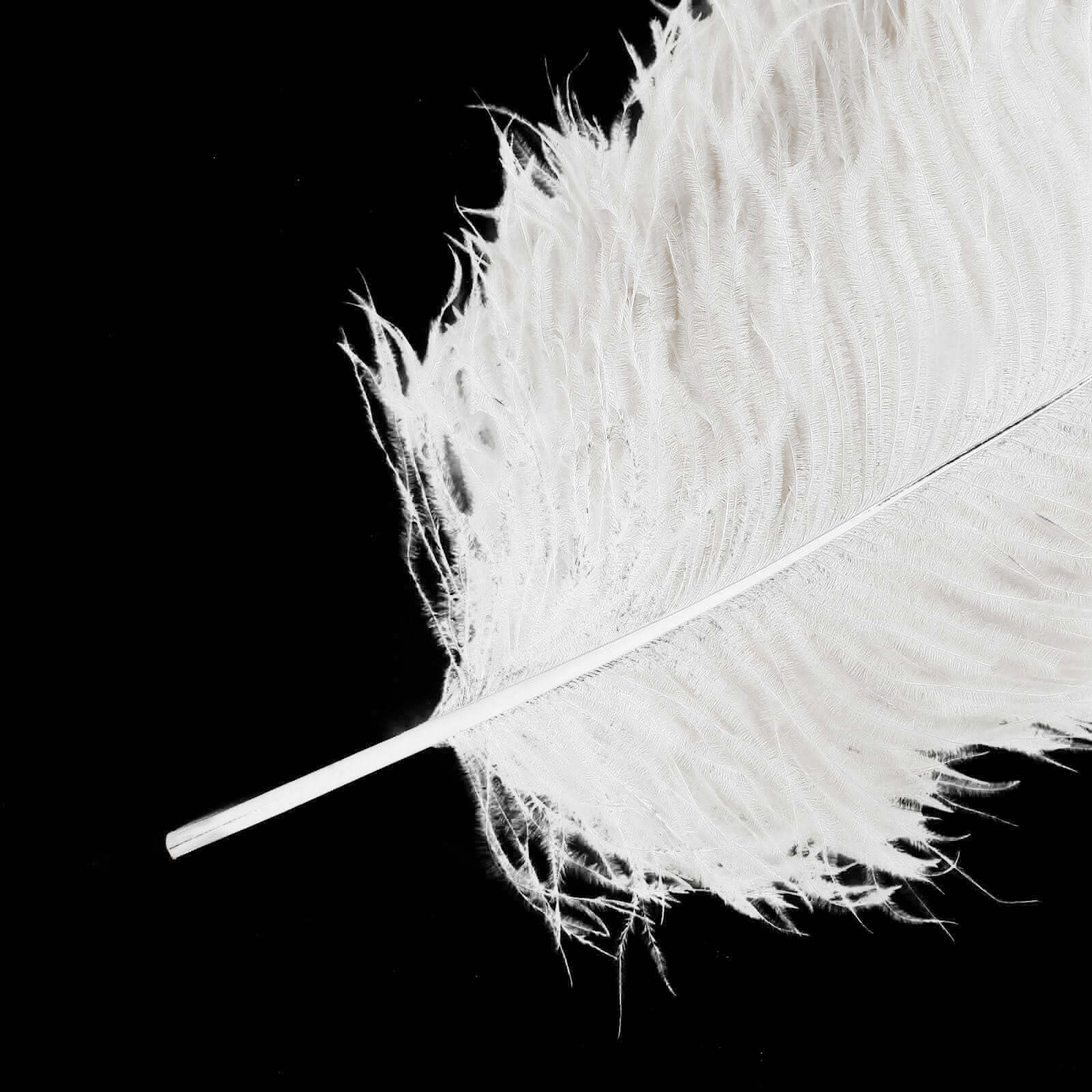 12 Pack White Natural Plume Ostrich Feathers Centerpiece Filler - 24"-26"