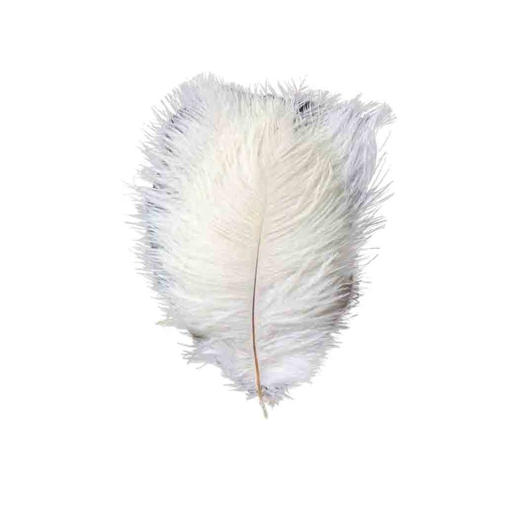12 Pack 13"-15" White Natural Plume Real Ostrich Feathers, DIY Centerpiece Fillers