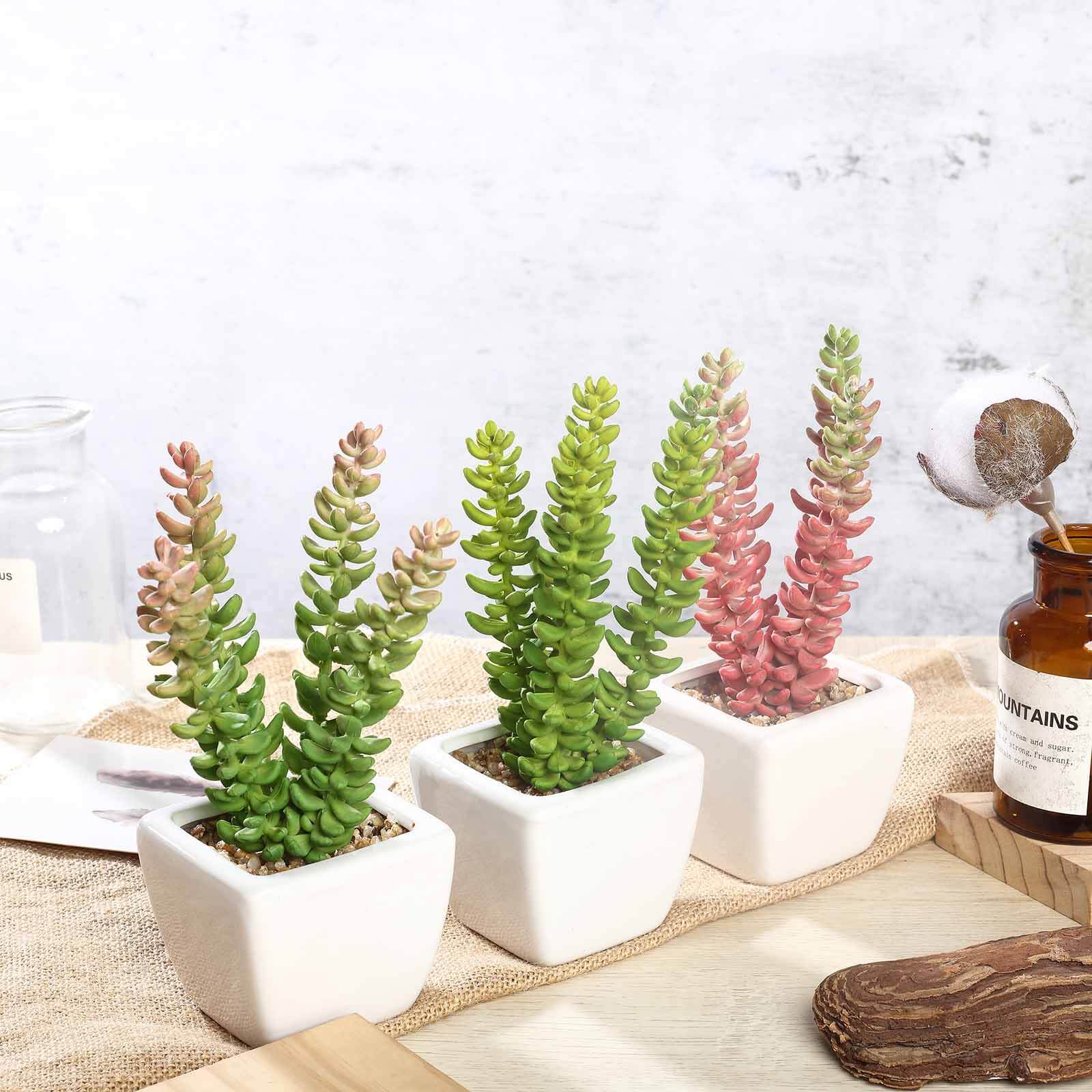 3-Pack Sedum Artificial Succulents in Ceramic Pot - Lifelike Decorative Faux Plants for Home Office & Event Design 8"