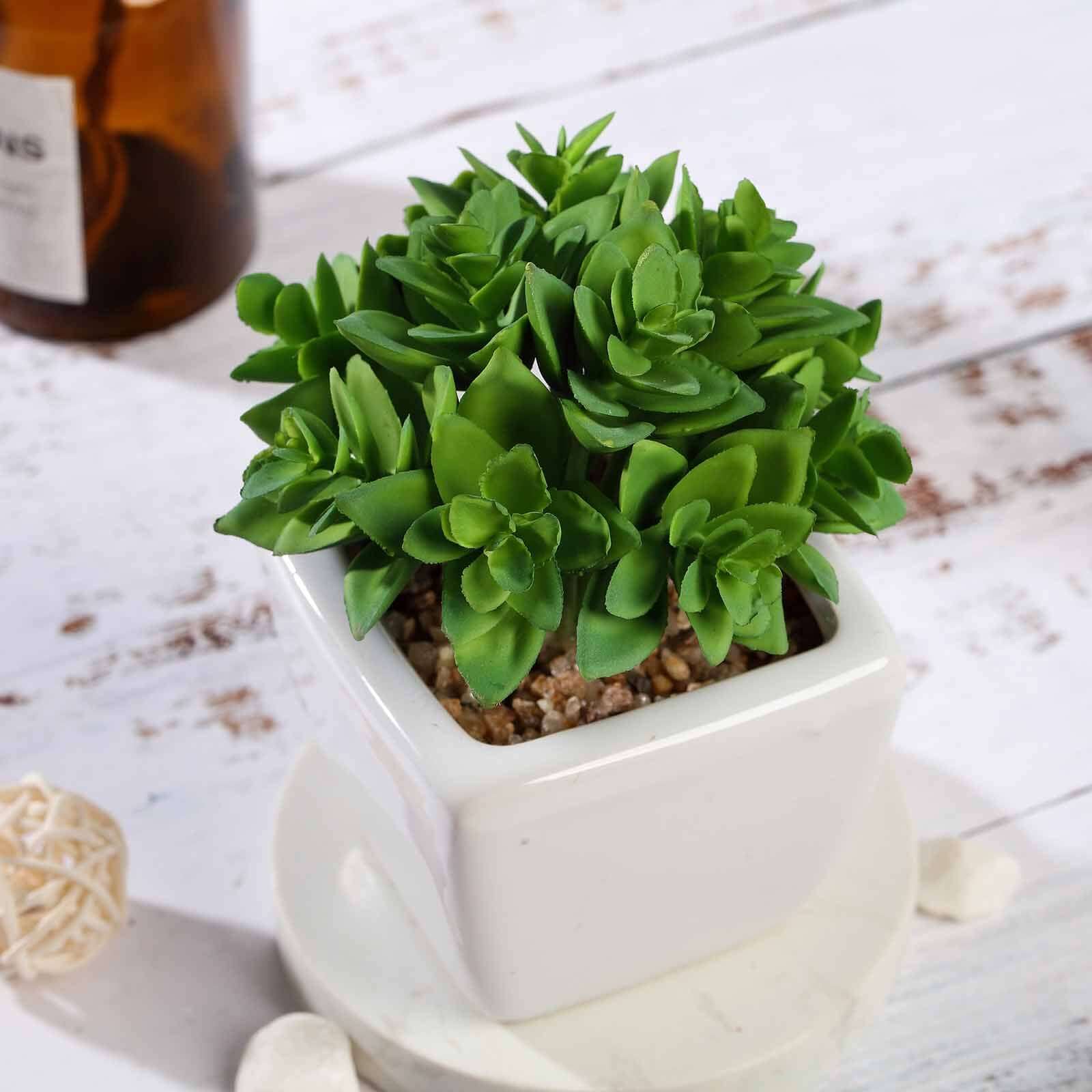 3-Pack Echeveria Artificial Succulents in Ceramic Pot Green - Lifelike Decorative Faux Plants for Home Office & Event Design 4"