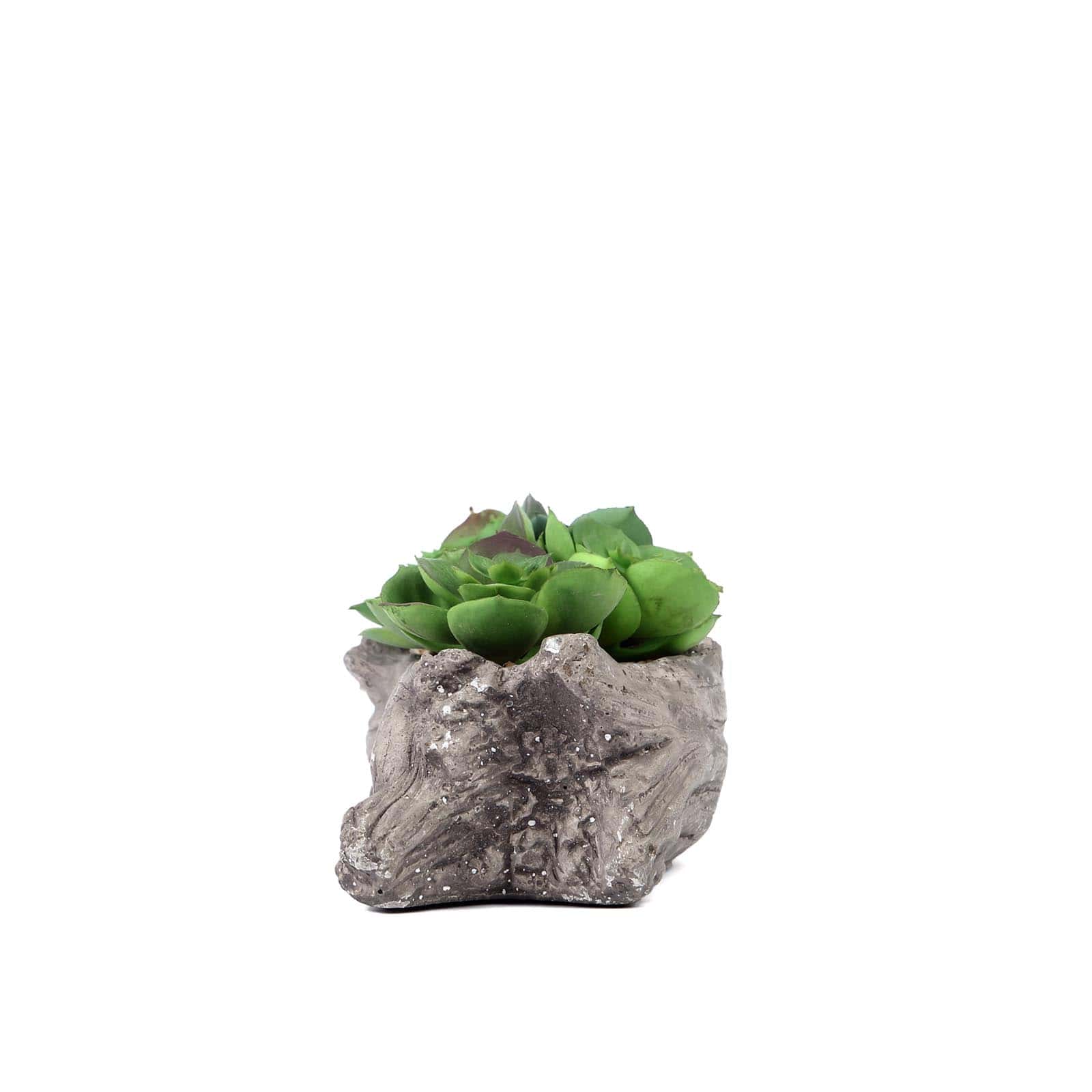 Perle Von Nurnberg Artificial Succulents Arrangements in 7" Log Planter - Lifelike Faux Plant for Stylish Home Bathroom Tabletop Indoor Outdoor Greenery Decor