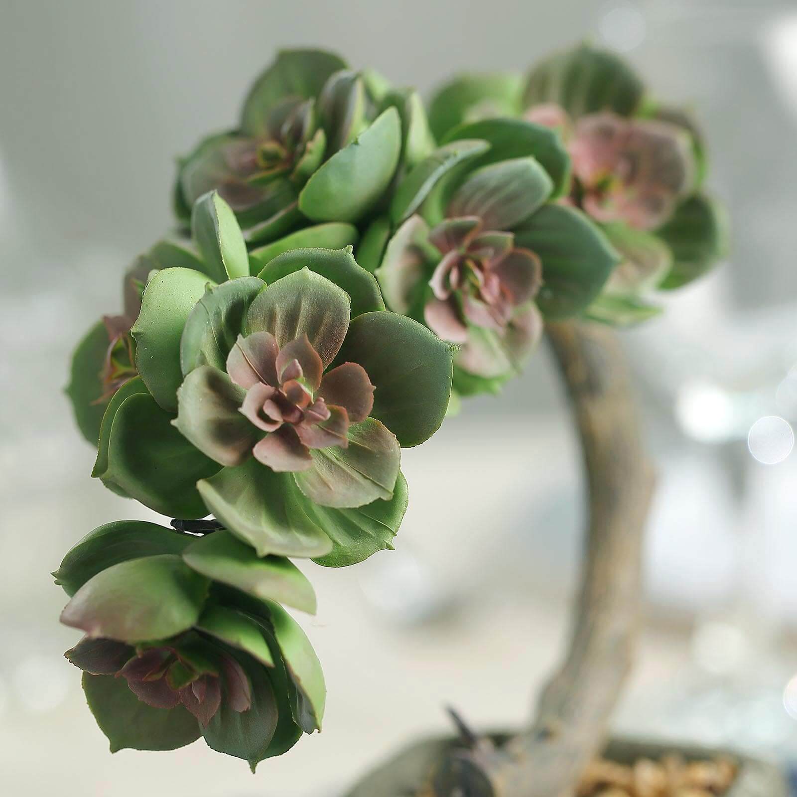 Perle Von Nurnberg Artificial Succulents in Concrete Pot - Lifelike Decorative Faux Plants for Home Office & Event Design 8"