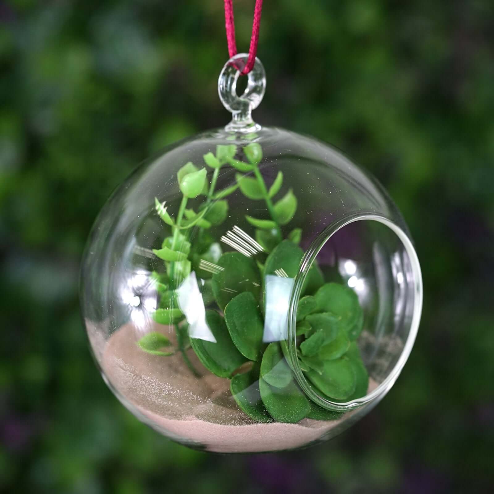 4-Pack Glass Terrarium Hanging Globe Design Free-Falling - Modern Planter for Air Plants & Displays 4"