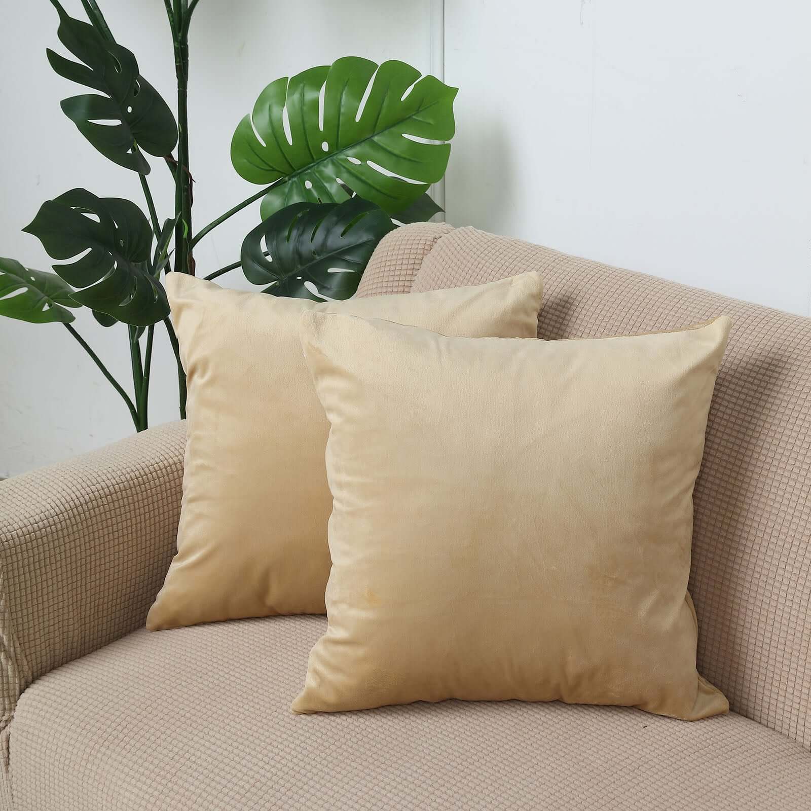 2 Pack 18" Champagne Soft Velvet Square Throw Pillow Cover