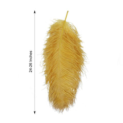 12 Pack Gold Natural Plume Ostrich Feathers Centerpiece Filler - 24"-26"