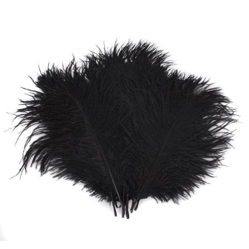 12 Pack 13"-15" Black Natural Plume Real Ostrich Feathers, DIY Centerpiece Fillers