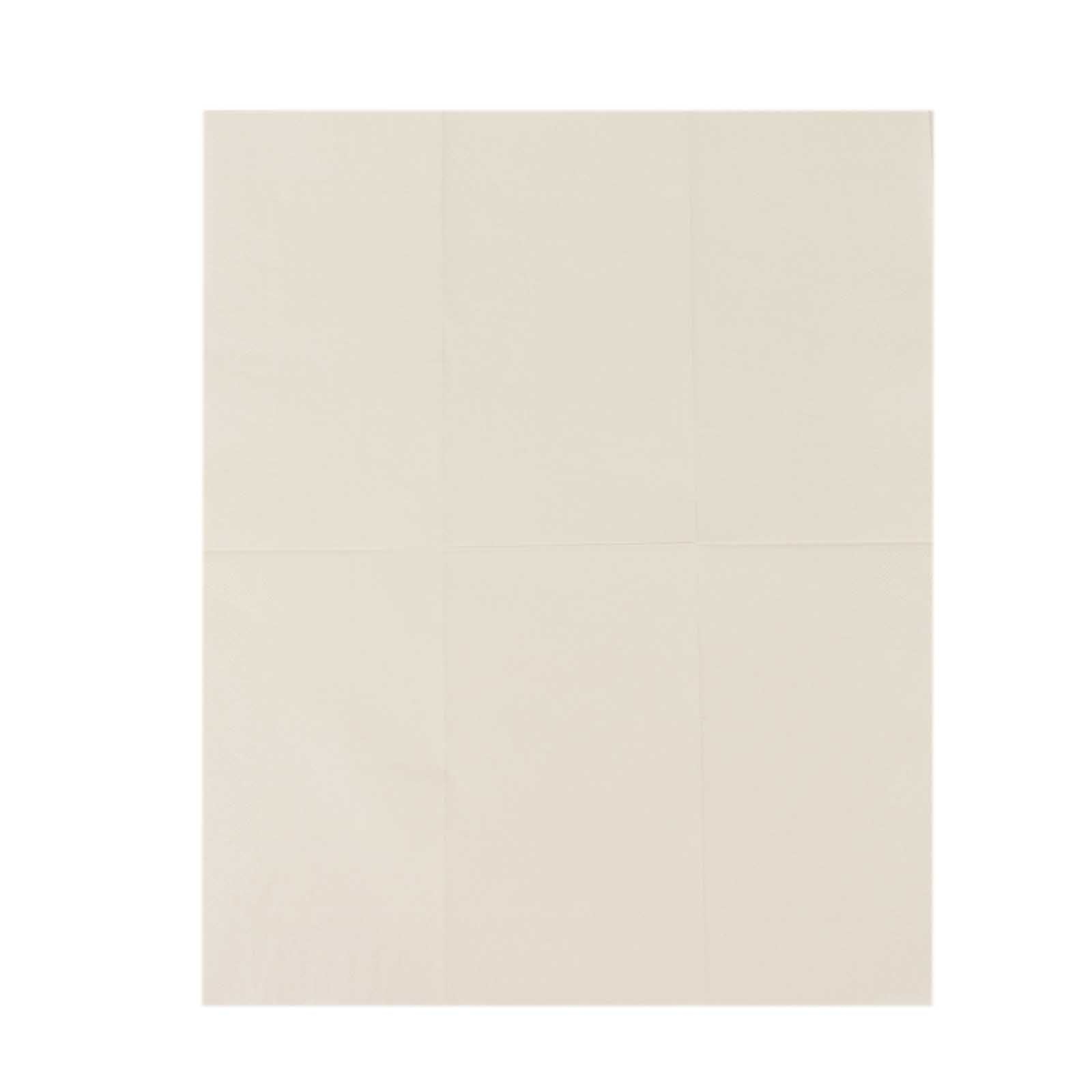 50-Pack Paper Napkins Soft Ivory - Disposable 2-Ply Cocktail and Beverage Napkins for Weddings