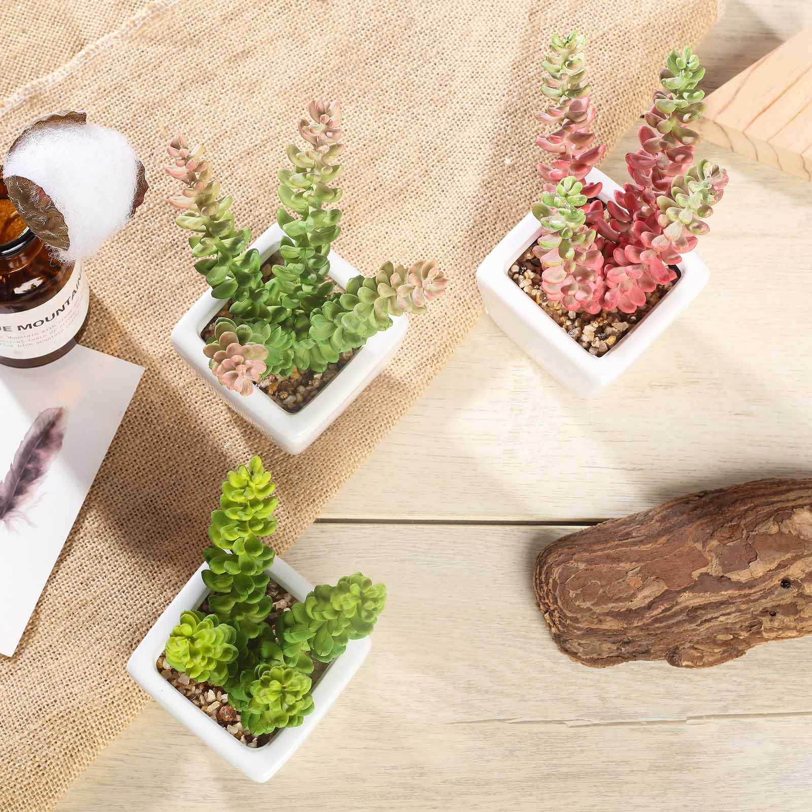 3-Pack Sedum Artificial Succulents in Ceramic Pot - Lifelike Decorative Faux Plants for Home Office & Event Design 8"