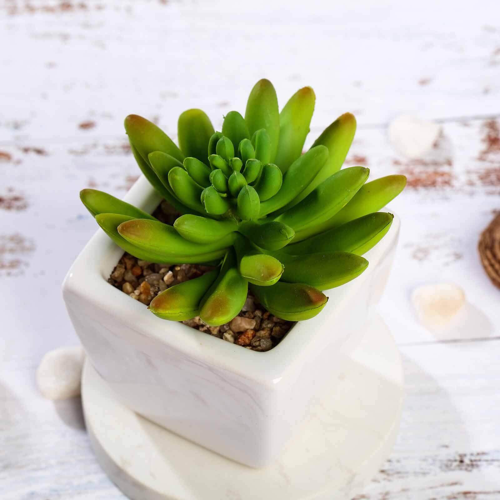 3-Pack Lotus Artificial Succulents in Ceramic Pot - Lifelike Decorative Faux Plants for Home Office & Event Design 4"