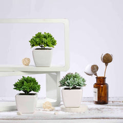 3-Pack Echeveria Artificial Succulents in Ceramic Pot Green - Lifelike Decorative Faux Plants for Home Office & Event Design 4"
