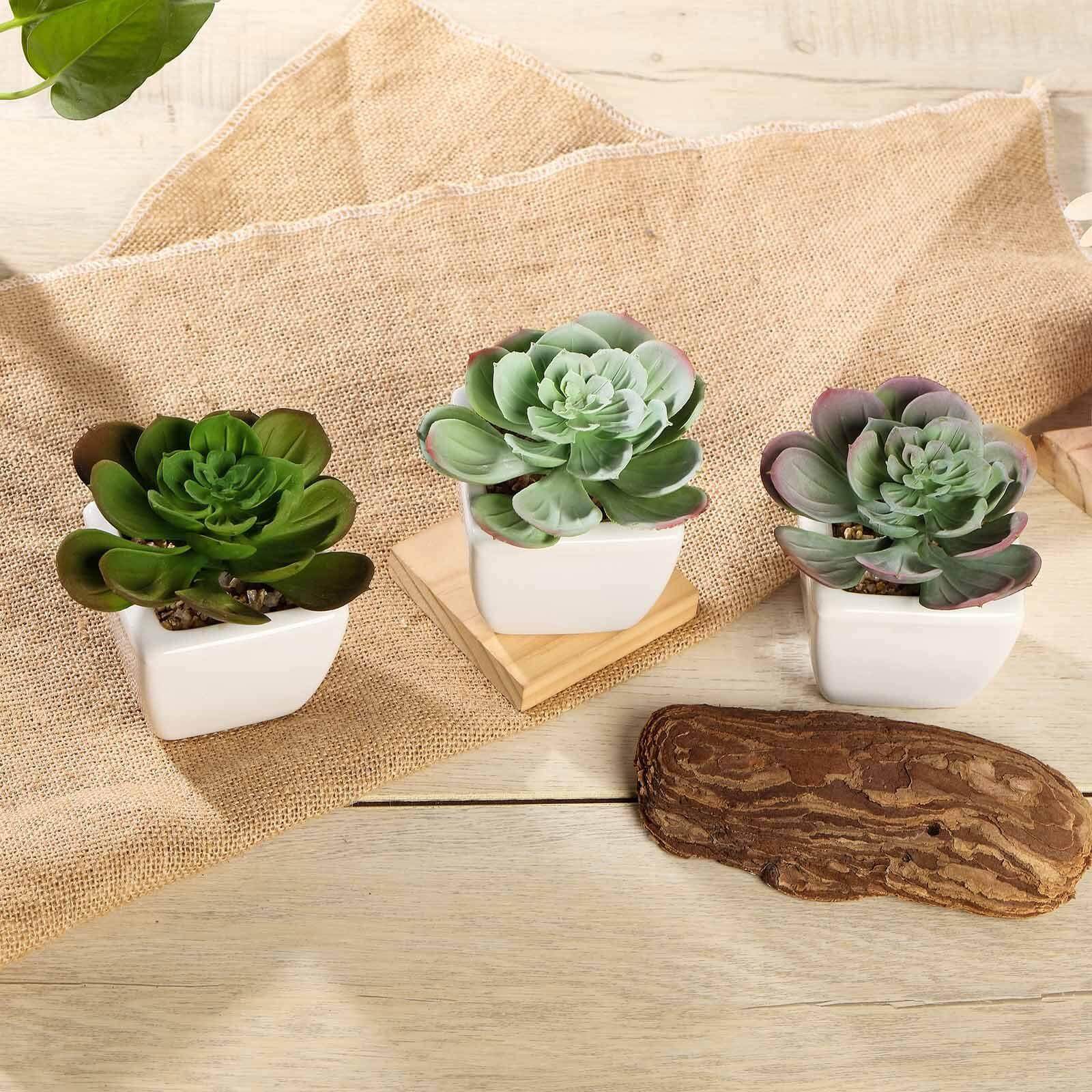 3-Pack Echeveria Artificial Succulents in Ceramic Pot - Lifelike Decorative Faux Plants for Home Office & Event Design 4"