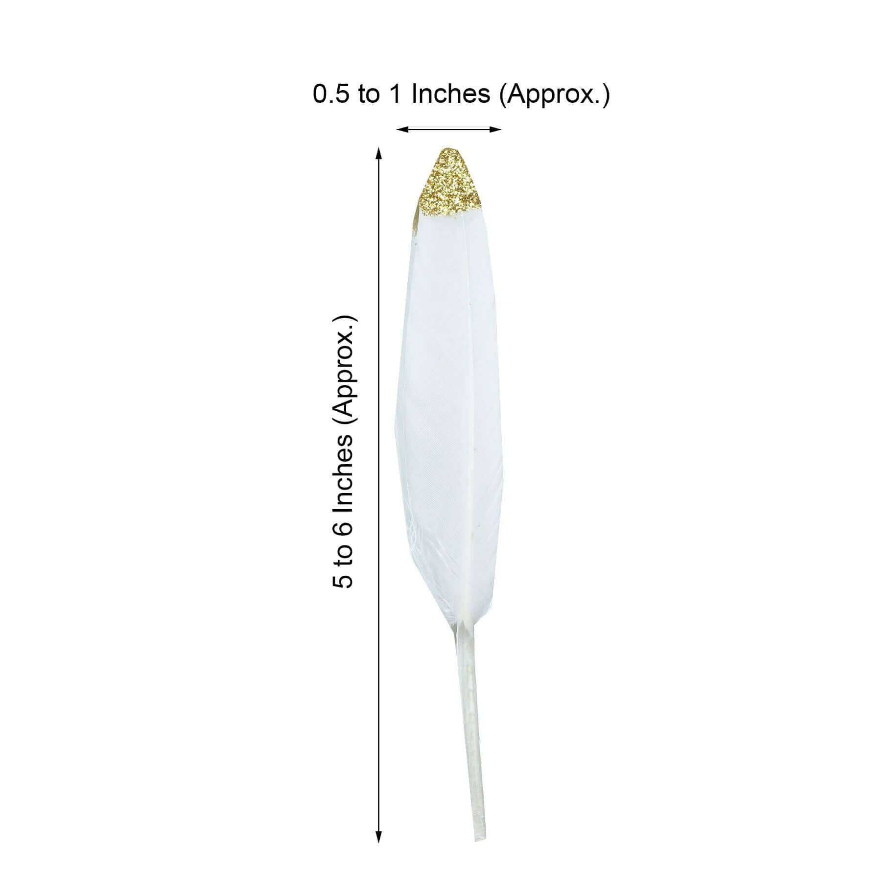 30-Pack Turkey Feathers Craft Feathers Glitter Gold Tip White - Decorative Feathers for DIY Party Projects