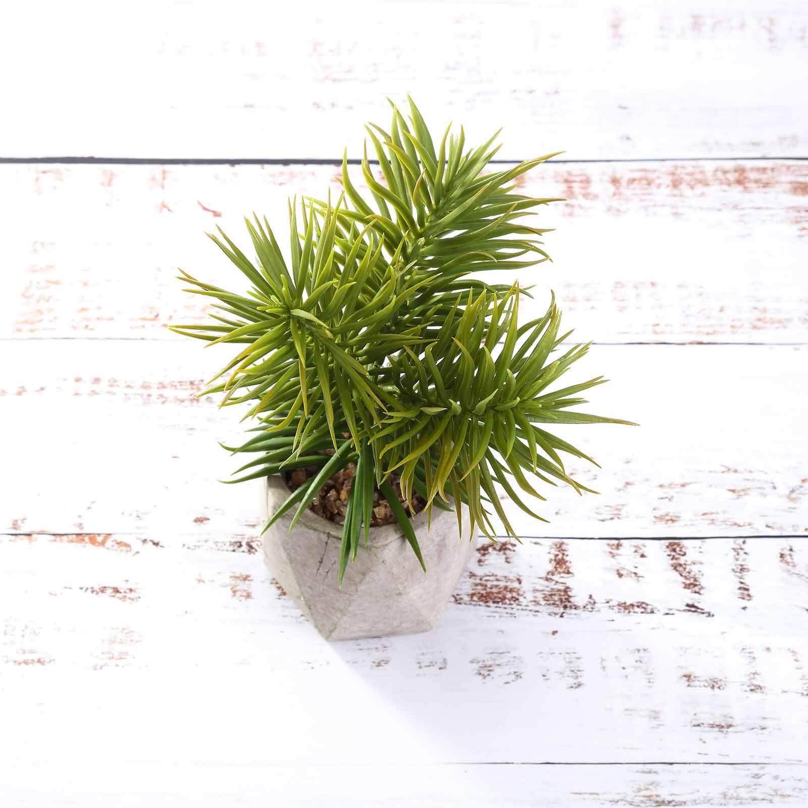 3-Pack Crassula Artificial Succulents in Geometric Ceramic Pot - Lifelike Decorative Faux Plants for Home Office & Event Design 8"
