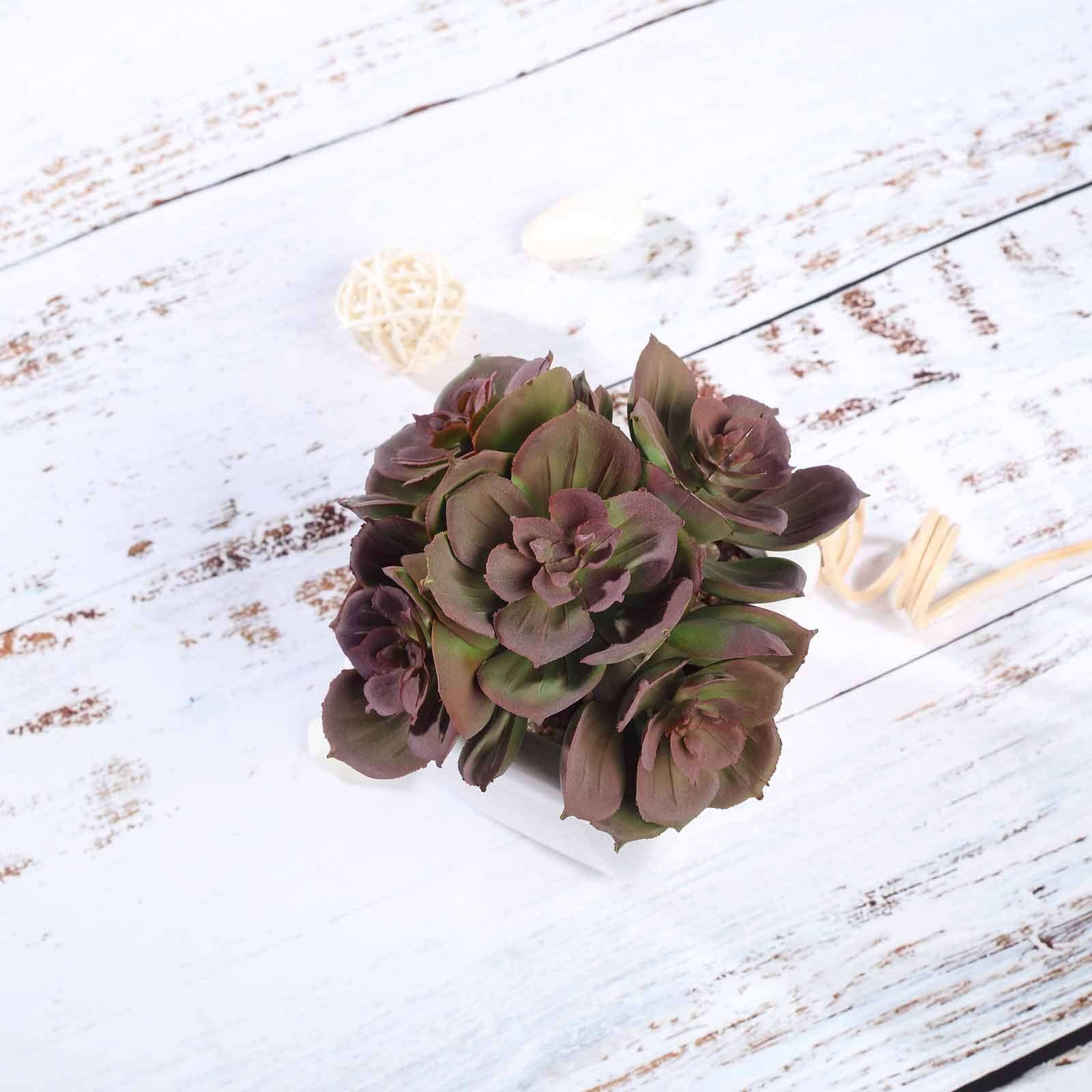 3-Pack Echeveria Elegans Artificial Succulents in Ceramic Pot - Lifelike Decorative Faux Plants for Home Office & Event Design 5"