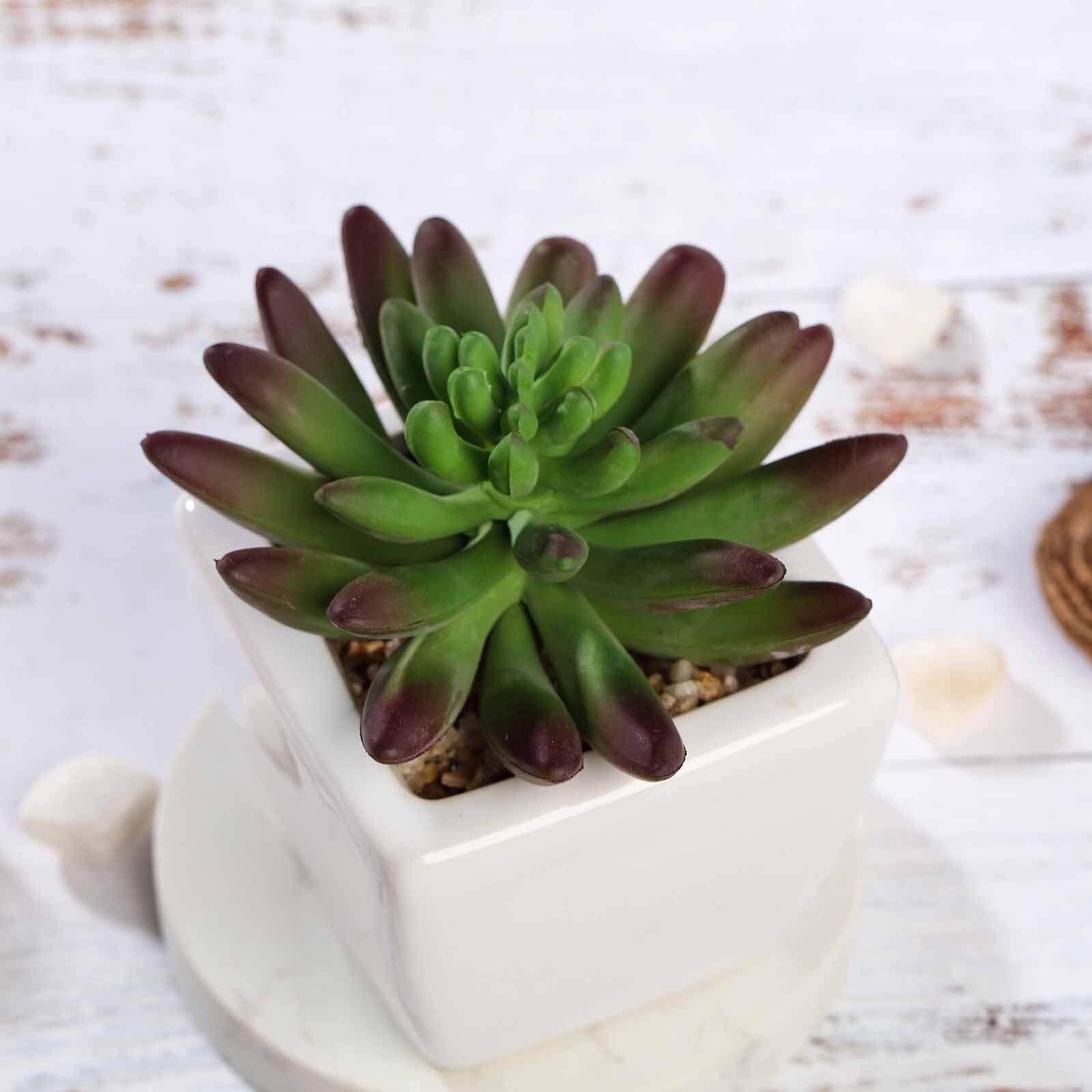 3-Pack Lotus Artificial Succulents in Ceramic Pot - Lifelike Decorative Faux Plants for Home Office & Event Design 4"