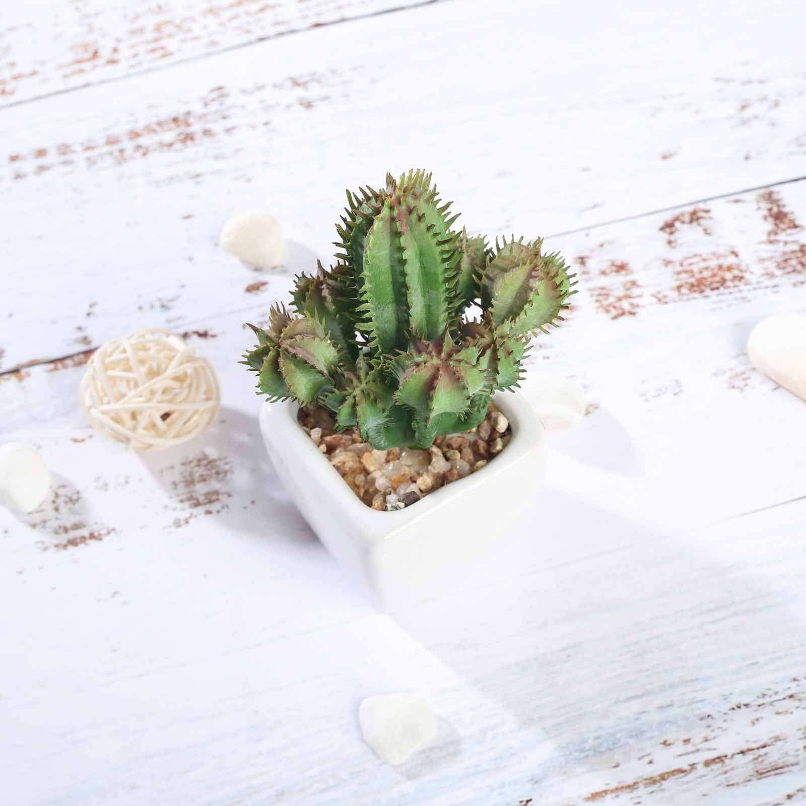 3-Pack Cacti Artificial Succulents in Ceramic Pot - Lifelike Decorative Faux Plants for Home Office & Event Design 5"