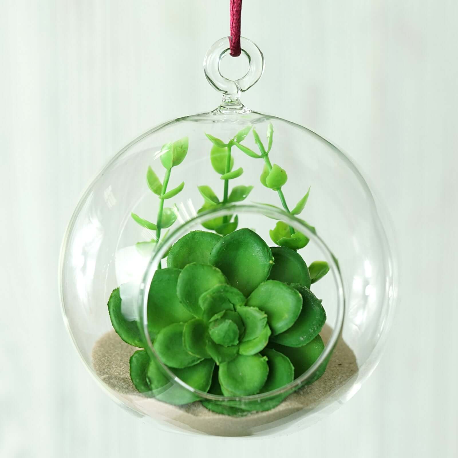 4-Pack Glass Terrarium Hanging Globe Design Free-Falling - Modern Planter for Air Plants & Displays 4"