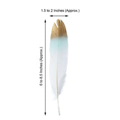 30-Pack Goose Feathers Craft Feathers Metallic Gold Tip Dual Tone Mint White - Decorative Feathers for DIY Projects