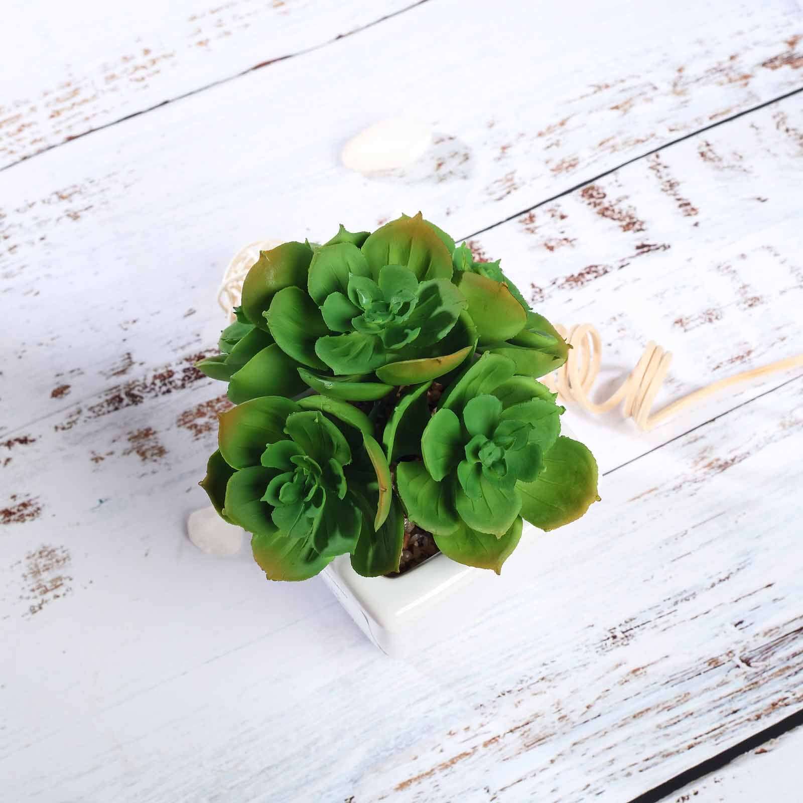 3-Pack Echeveria Elegans Artificial Succulents in Ceramic Pot - Lifelike Decorative Faux Plants for Home Office & Event Design 5"