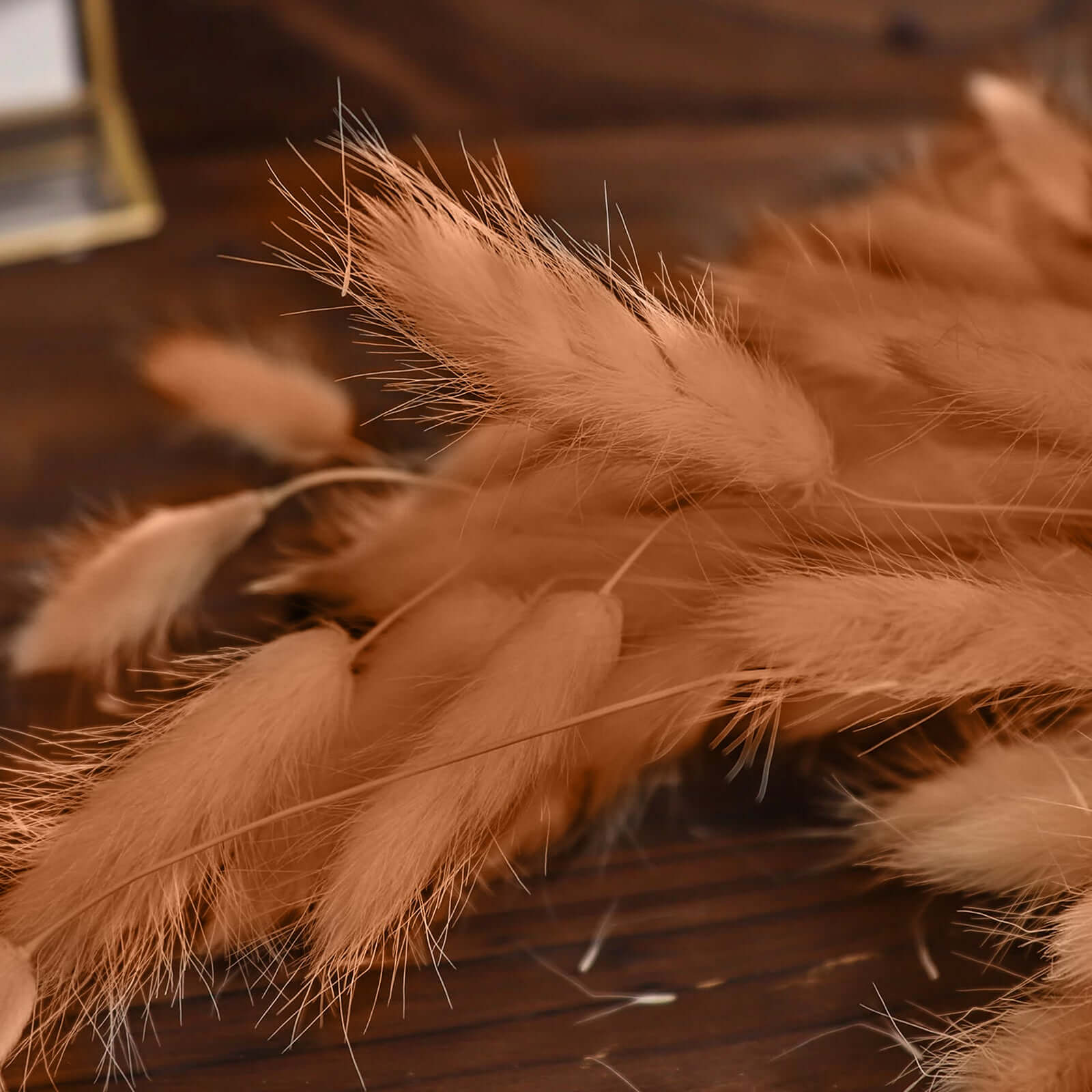 50-Pack Dried Bunny Tail Grass Brown - Rustic Chic Lagurus Ovatus Rabbit Tail Ornamental Grass for Modern Farmhouse Decor Event Styling & Floral Displays 15"