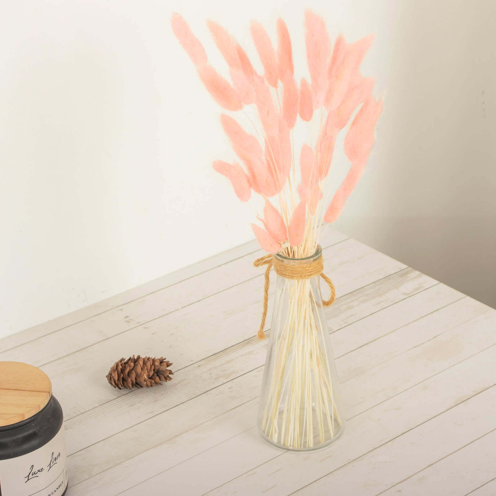 50-Pack Dried Bunny Tail Grass Blush - Rustic Chic Lagurus Ovatus Rabbit Tail Ornamental Grass for Modern Farmhouse Decor Event Styling & Floral Displays 15"
