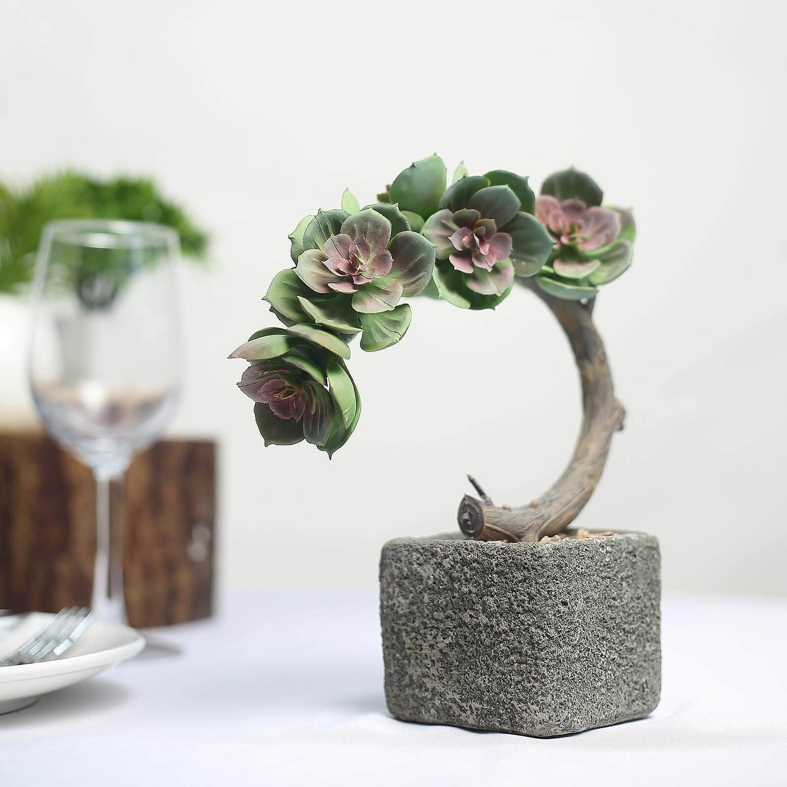 Perle Von Nurnberg Artificial Succulents in Concrete Pot - Lifelike Decorative Faux Plants for Home Office & Event Design 8"