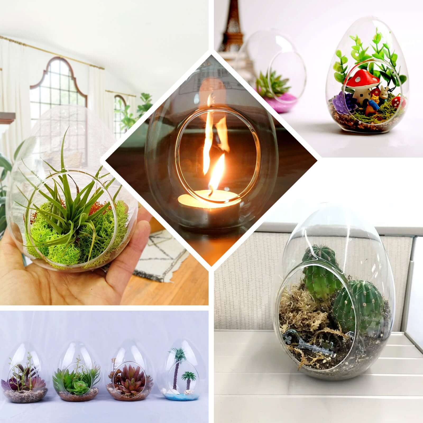 6-Pack Glass Terrarium Self-Standing Egg Shaped Design - Modern Planter for Air Plants & Displays 5"