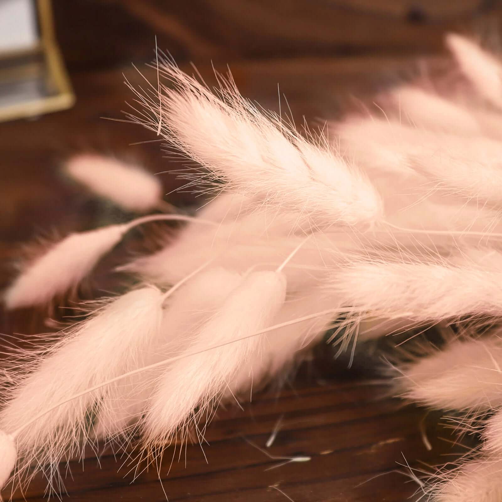 50-Pack Dried Bunny Tail Grass Blush - Rustic Chic Lagurus Ovatus Rabbit Tail Ornamental Grass for Modern Farmhouse Decor Event Styling & Floral Displays 15"