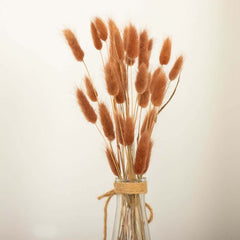 50-Pack Dried Bunny Tail Grass Brown - Rustic Chic Lagurus Ovatus Rabbit Tail Ornamental Grass for Modern Farmhouse Decor Event Styling & Floral Displays 15"