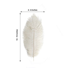 12 Pack 13"-15" Ivory Natural Plume Real Ostrich Feathers, DIY Centerpiece Fillers