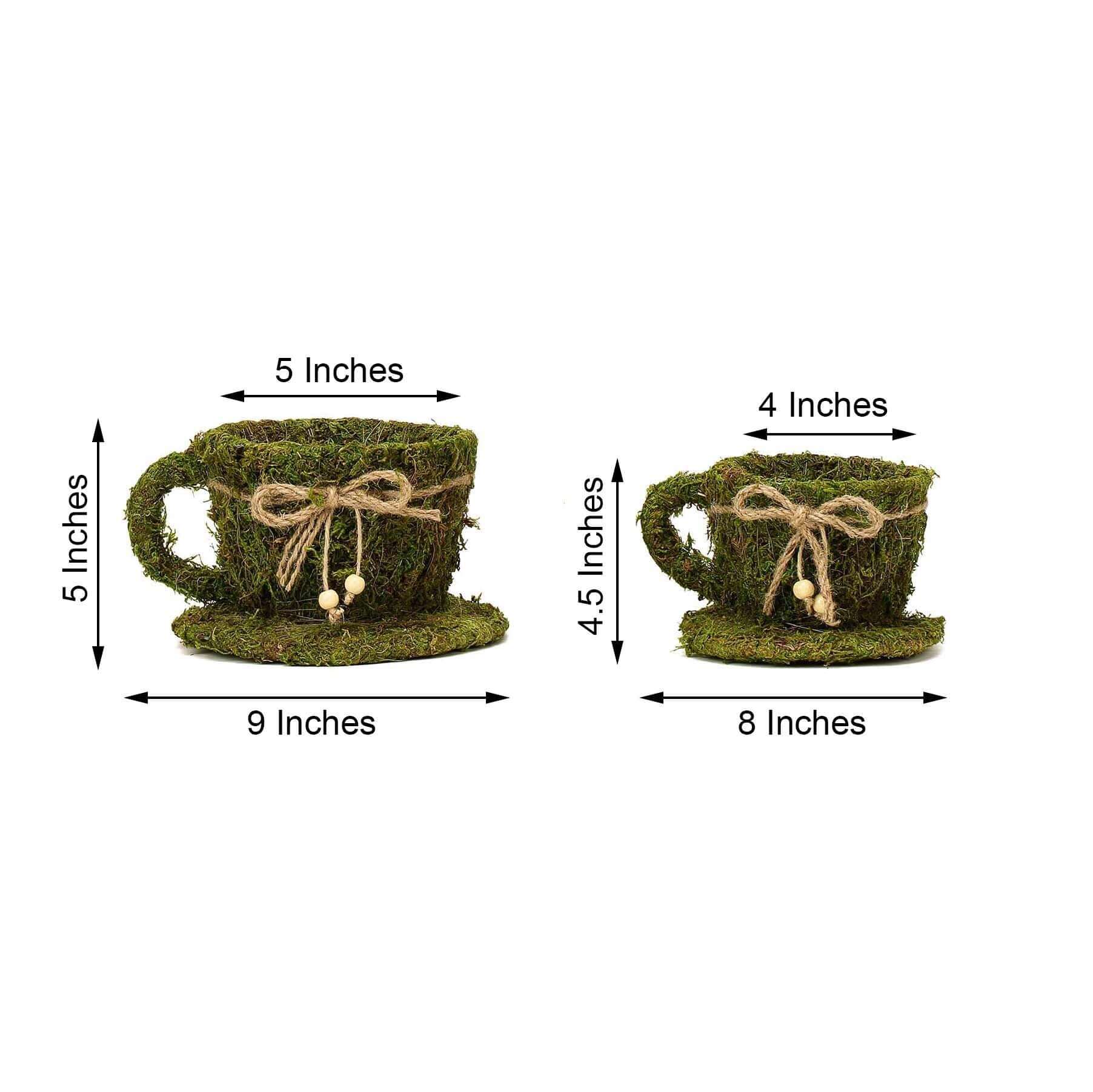 Set of 2 Teacup Shaped Planter Boxes Preserved Moss with Twine Green - Flower Basket Centerpieces 5", 4"