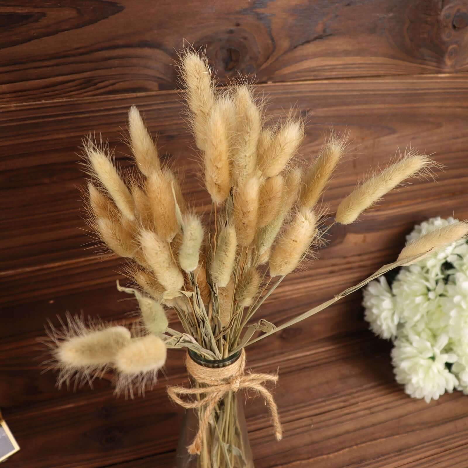 50-Pack Dried Bunny Tail Grass Natural - Rustic Chic Lagurus Ovatus Rabbit Tail Ornamental Grass for Modern Farmhouse Decor Event Styling & Floral Displays 15"