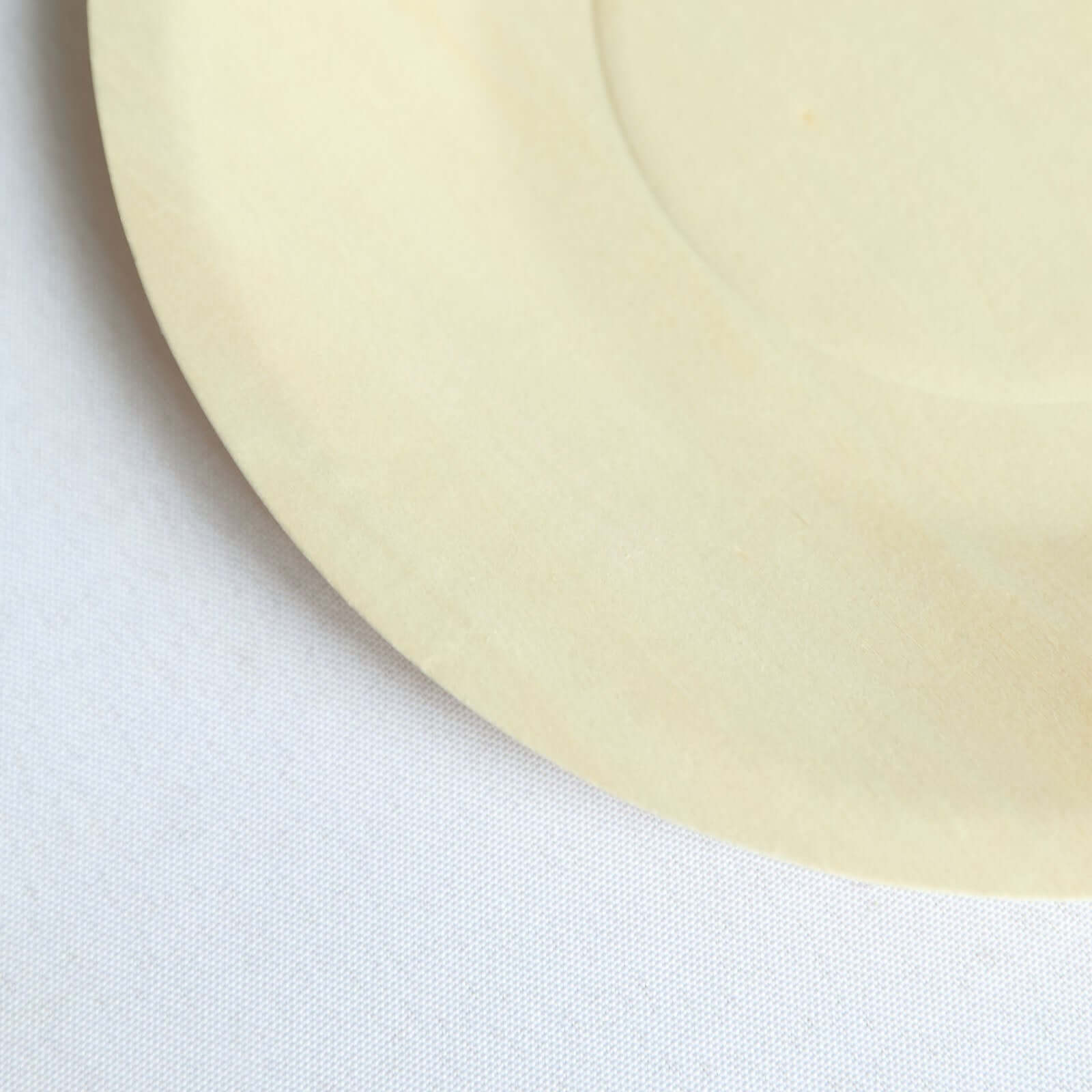 25-Pack Birchwood 9" Round Dinner Plates - Natural Eco Friendly Wooden Disposable Plates for Farmhouse-Style Events, Parties & Gatherings