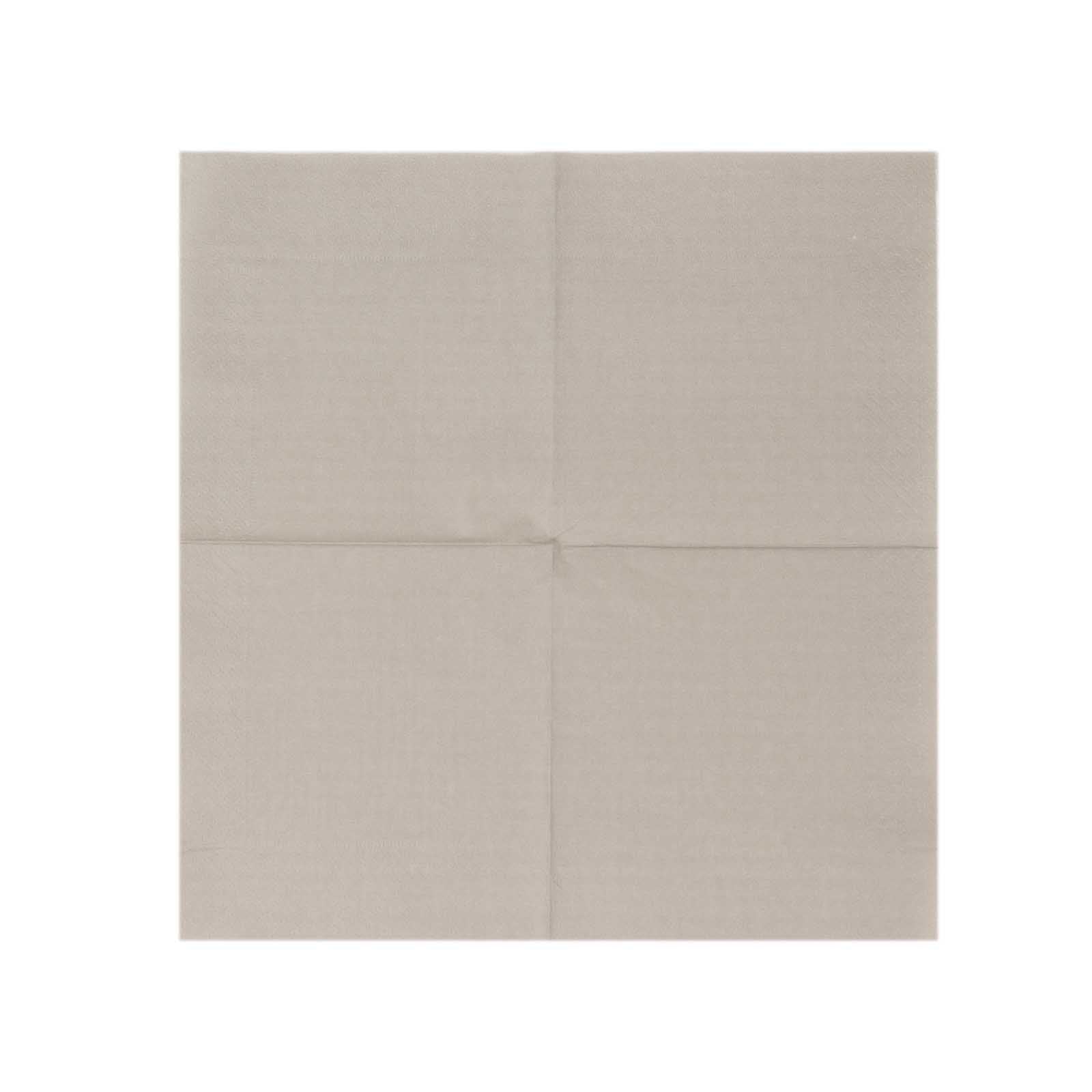 50-Pack Paper Beverage Napkins Silver - 2 Ply Disposable Soft 18GSM Cocktail Napkins 5"x5"