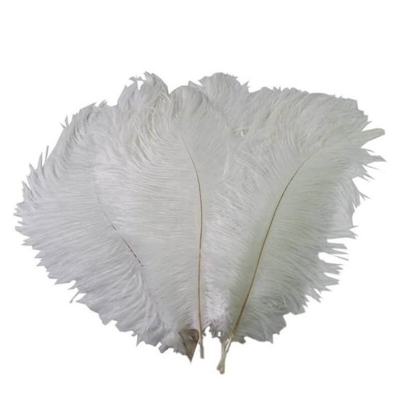 12 Pack 13"-15" White Natural Plume Real Ostrich Feathers, DIY Centerpiece Fillers