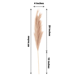 3 Stems Artificial Pampas Grass Decor Taupe - Soft Realistic Faux Ornamental Grass Branches for Rustic Boho Chic Backdrops Floral Styling & Vase Displays 44"