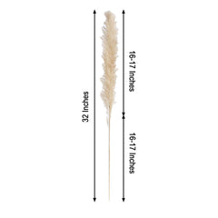 6 Stems Natural Dried Pampas Grass Decor Wheat Tint - Versatile Plant Sprays for Boho Chic Vase Displays Backdrops & Event Styling 32"