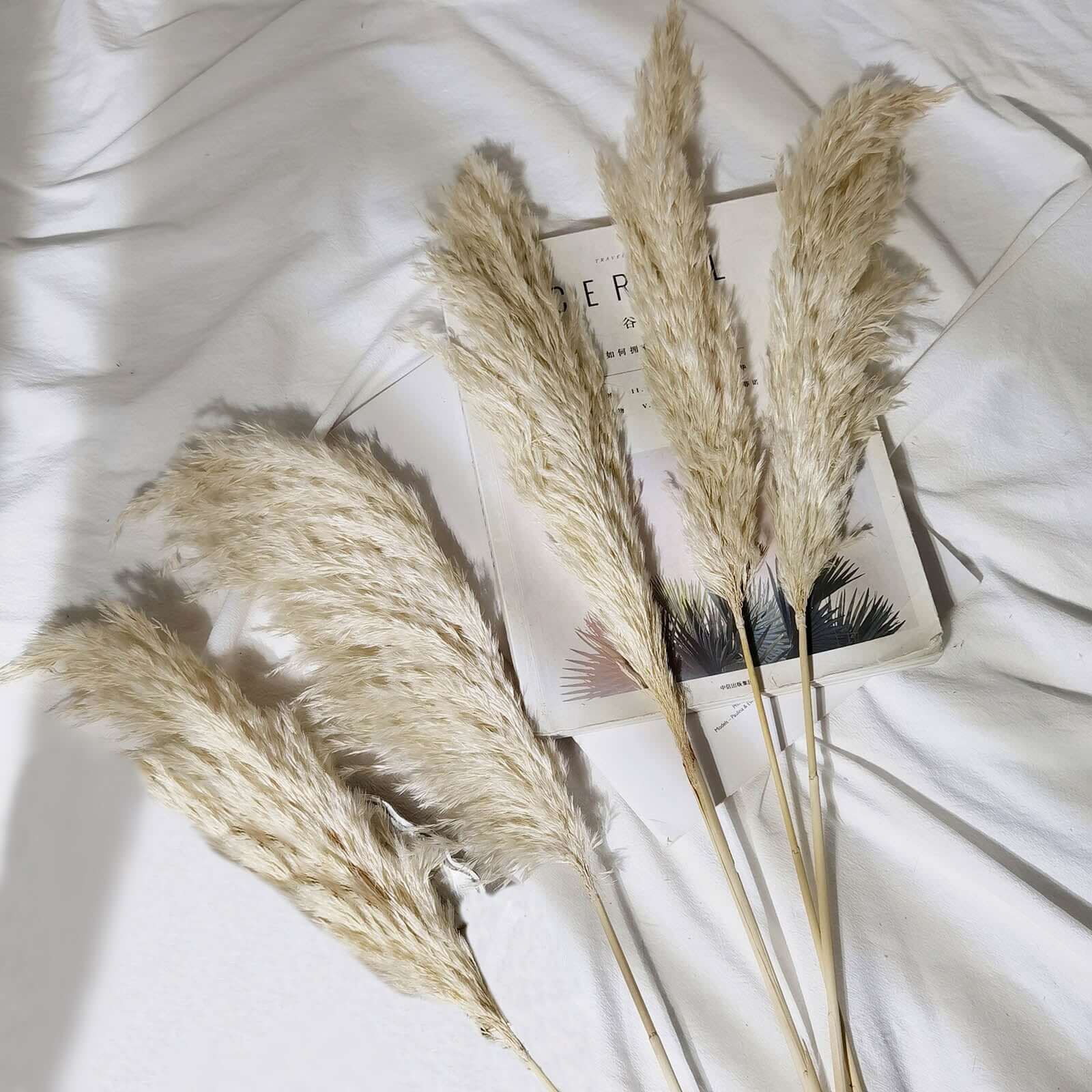 6 Stems Natural Dried Pampas Grass Decor Wheat Tint - Versatile Plant Sprays for Boho Chic Vase Displays Backdrops & Event Styling 32"